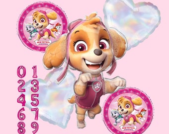 Paw Patrol Skye Balloons: Licensed Anagram Foil Mylar Party Decor