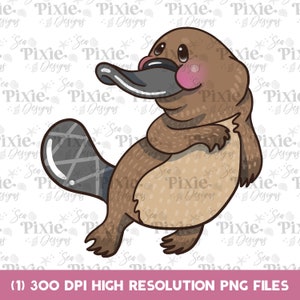 Cute Platypus PNG File Instant Download Cute Kawaii High Resolution