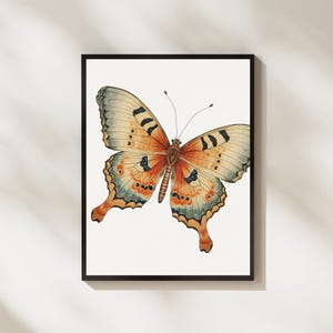 Butterfly Print, Natural Decor, Boho Wall Art, Nursery Decor, Butterfly Printable, Vintage Print, Vintage Butterfly, Butterfly Poster