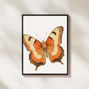 Butterfly Print, Natural Decor, Boho Wall Art, Nursery Decor, Butterfly Printable, Vintage Print, Vintage Butterfly, Butterfly Poster