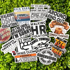 55 PCS Funny Word Stickers,Slang Stickers,Funny Stickers for Adults,Cool  Stickers for Water Bottle,Laptop,Skateboard,Phone,Hard Hat,Bumper,Gifts for