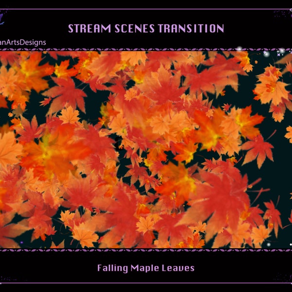 Falling Maple Leaves Twitch Stream Scenes Transition, Falling Maple Leaf Twitch Stream Stinger for Streamer, OBS, Streamlabs