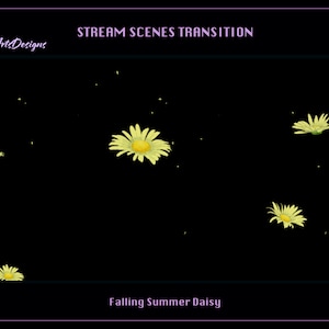 Herbstliche Gänseblümchen im Garten, Twitch Stinger, Herbst Gänseblümchen, für Streamer, OBS, Streamlabs, StreamElements