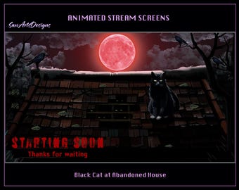 Black Cat in Abandoned House Animated Stream Overlays, Black Cat under Blood Moon Animated Twitch Overlays for Streamers, OBS, StreamLabs