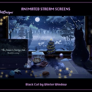 Overlay animati di streaming Gatto nero vicino alla finestra INVERNO, Overlay animati di Twitch Gatto invernale per streamer, OBS, StreamLabs