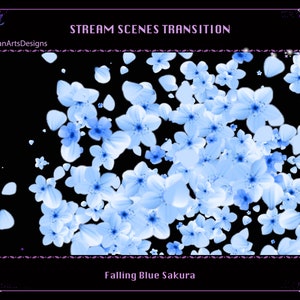 Falling Blue Sakura Twitch Stream Scenes Transition, Falling Cherry Blossoms Twitch Stream Stinger for Streamer, OBS, Streamlabs