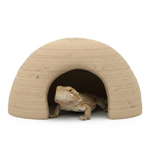 Puede incluir: Un escondite para reptiles beige en forma de cúpula con una gran abertura, que alberga un dragón barbudo. El reptil es de color marrón y marrón, con un aspecto texturizado. El escondite está hecho de un material de color claro y el fondo es blanco.