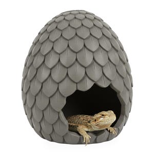 Puede incluir: Un hábitat gris en forma de huevo para mascotas con un diseño en forma de escamas. Un lagarto barbudo está dentro de la abertura. El recinto para reptiles está diseñado para mascotas pequeñas.
