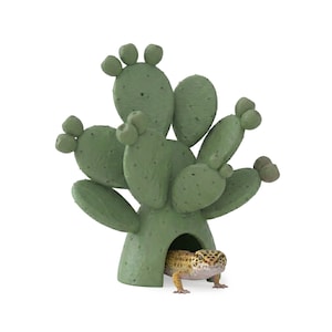 May include: A green cactus-shaped reptile hideaway with a small opening. A leopard gecko is partially visible inside the hideaway. The cactus has a textured surface and multiple rounded protrusions.
