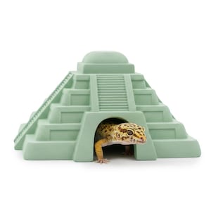 Puede incluir: Un escondite para reptiles de estilo azteca, de color verde claro, con un gecko asomándose por la entrada. El gecko tiene manchas amarillas y marrones. El escondite tiene una escalera lateral.