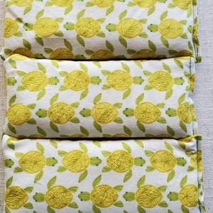 Therapeutic Hot Cool Pack | Sea Turtle print| Self Care | Pain Relief | Hand Made | Cotton | Organic Millet