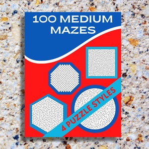 Adult Puzzle Games Teen Activities Adult Fun Brain Games Problem Solving Medium Level Mazes Print at Home Fun Teens Puzzles Tween PDF Kids