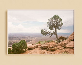Canyonlands National Park