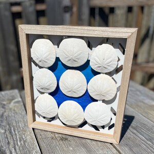 Sand Dollar Art (Blue)