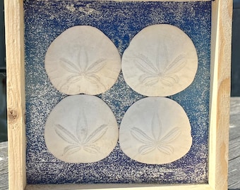 Può includere: Quattro dollari di sabbia sono esposti in una cornice di legno su uno sfondo blu. I dollari di sabbia sono disposti in uno schema quadrato con i disegni a forma di stella rivolti verso lo spettatore.