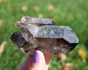 May include: A smoky quartz crystal cluster with a dark brown to black colour and a clear, glassy finish. The crystal has a natural, rough texture and is a beautiful example of this type of gemstone.