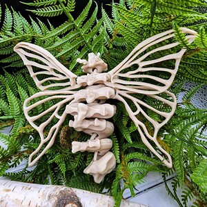 Op de afbeelding: Een beige 3D-geprint skelet van een vlinder met ingewikkelde vleugeldetails. De vlinder is geposeerd met zijn vleugels wijd uitgespreid en zijn lichaam opgerold. De vlinder is geplaatst tegen een achtergrond van groene varens.