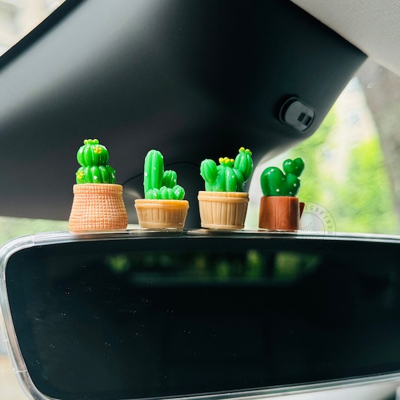 Cactus car decor discount