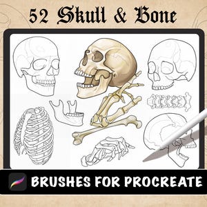 52 Human Skull & Bone Procreate Brush, Hand bones and Jaw Bone Procreate stamp tattoo, Skull tattoo, sternum, spine tattoo, Digital download