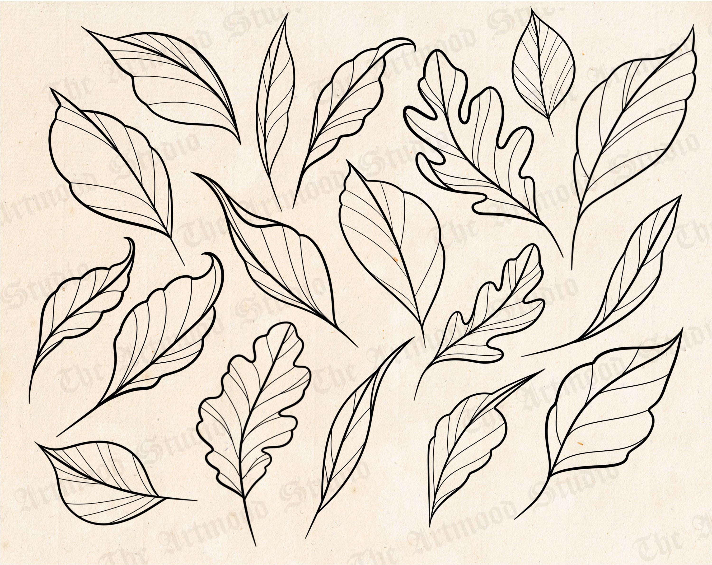 100 Leaves Stamps for Procreate, Leaf Tattoo Procreate Brushes ...