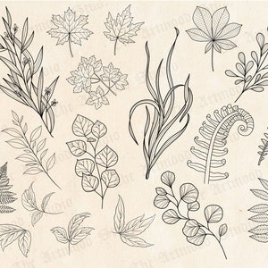 100 Leaves Stamps for Procreate, Photoshop, Clip Studio Paint, leaf tattoo procreate brushes, Botanical tattoo stencil, digital download image 3