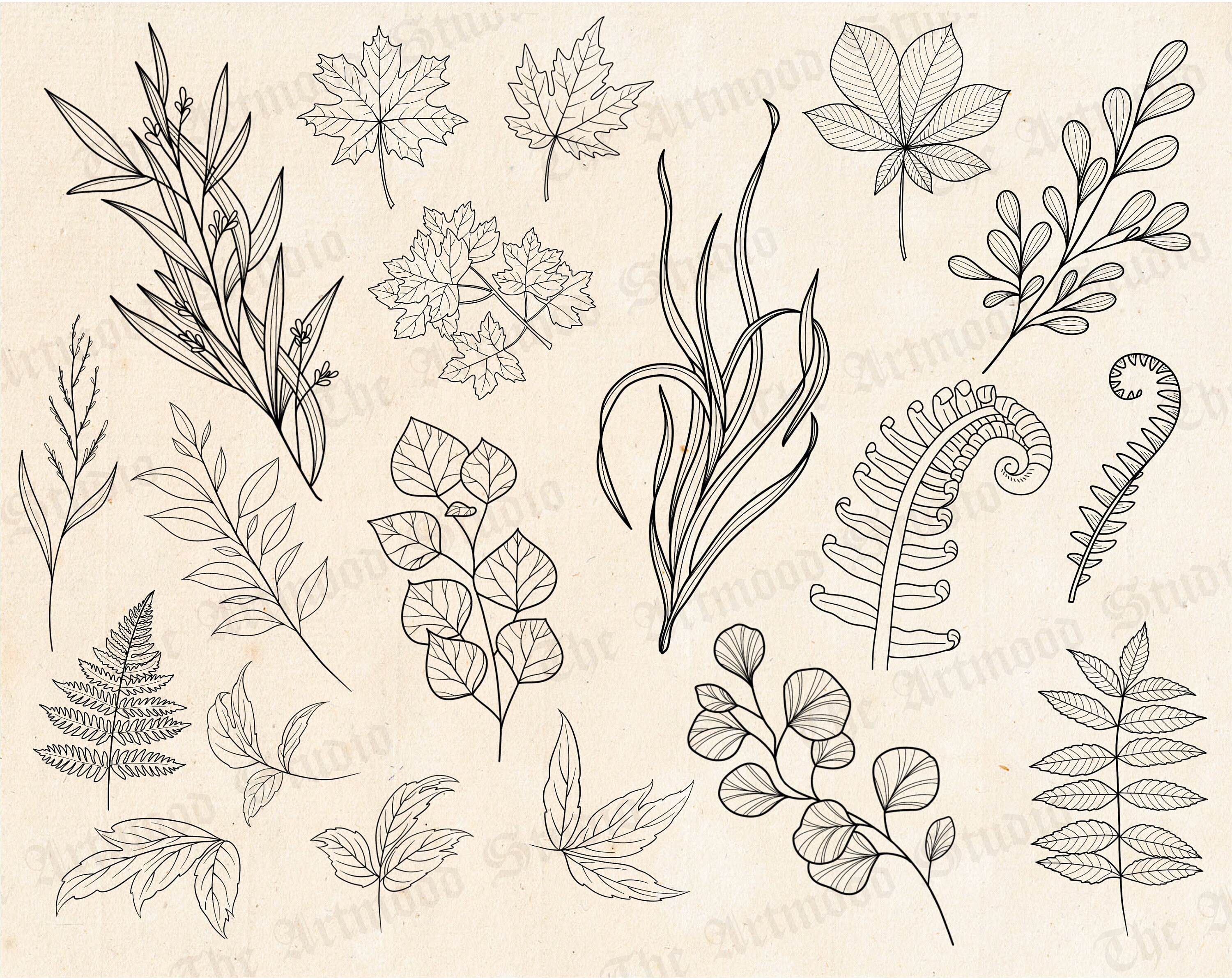 100 Leaves Stamps for Procreate, Leaf Tattoo Procreate Brushes ...