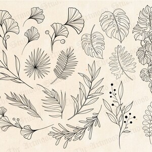 100 Leaves Stamps for Procreate, Photoshop, Clip Studio Paint, leaf tattoo procreate brushes, Botanical tattoo stencil, digital download image 4