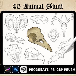40 Animal Skull Procreate Brush, Photoshop, Clip Studio Paint, Procreate stamp tattoo, Skull tattoo flash, Digital download