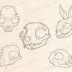 Brush Rabbit Skull 40 Animal Skull Procreate Brush, Photoshop, Clip Studio Paint ...