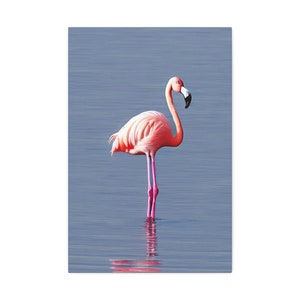 Flamingo in Water Art. Canvas