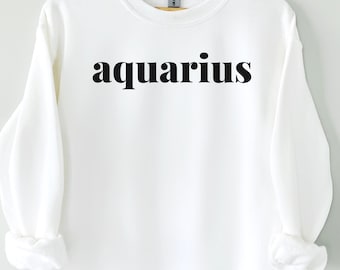 Sweater Waterman | Waterman-cadeau | Zodiac-sweater | Astrologiecadeau | Verjaardagscadeau februari | Trui met sterrenbeeld | Cadeau voor haar