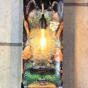 Wandlampe aus altem Skateboard Deko Deck, Skateboardlampe, Lamp, Upcycling