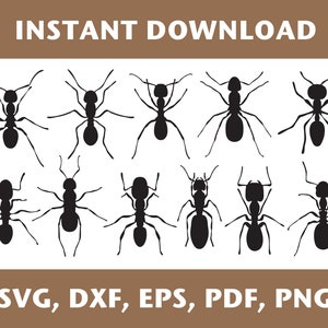 May include: A set of 10 black silhouette ant illustrations. The ants are in various poses, some are facing forward, some are facing sideways, and some are facing backward. The ants are all the same size and shape. The illustrations are perfect for use in crafts, scrapbooking, or digital design.