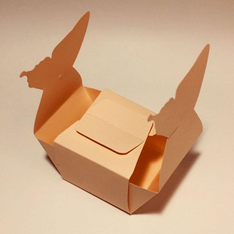 May include: A light brown paper box with butterfly wings on the sides. The box is open and the lid is folded back.