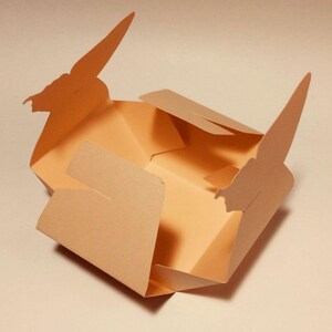 May include: A light brown cardboard box with a butterfly design. The box is open and the inside is visible.