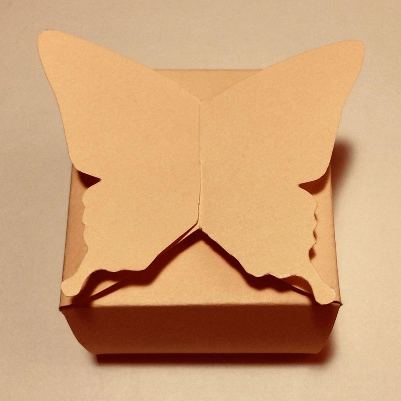 May include: A brown cardboard box with a butterfly-shaped lid. The box is closed and the butterfly wings are folded down.