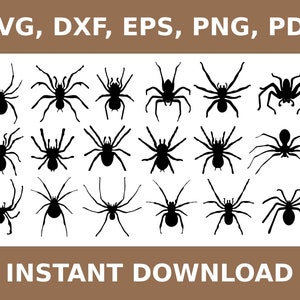 May include: A set of 18 black spider silhouettes in various poses. The spiders are all facing forward and have eight legs. The silhouettes are on a white background.