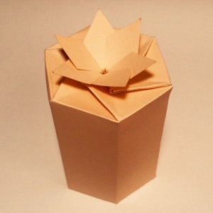 K&ouml;nnte beinhalten: Eine hellbraune Origami-Box mit einem sternf&ouml;rmigen Deckel. Die Box ist aus Papier und hat einen sechseckigen Boden.