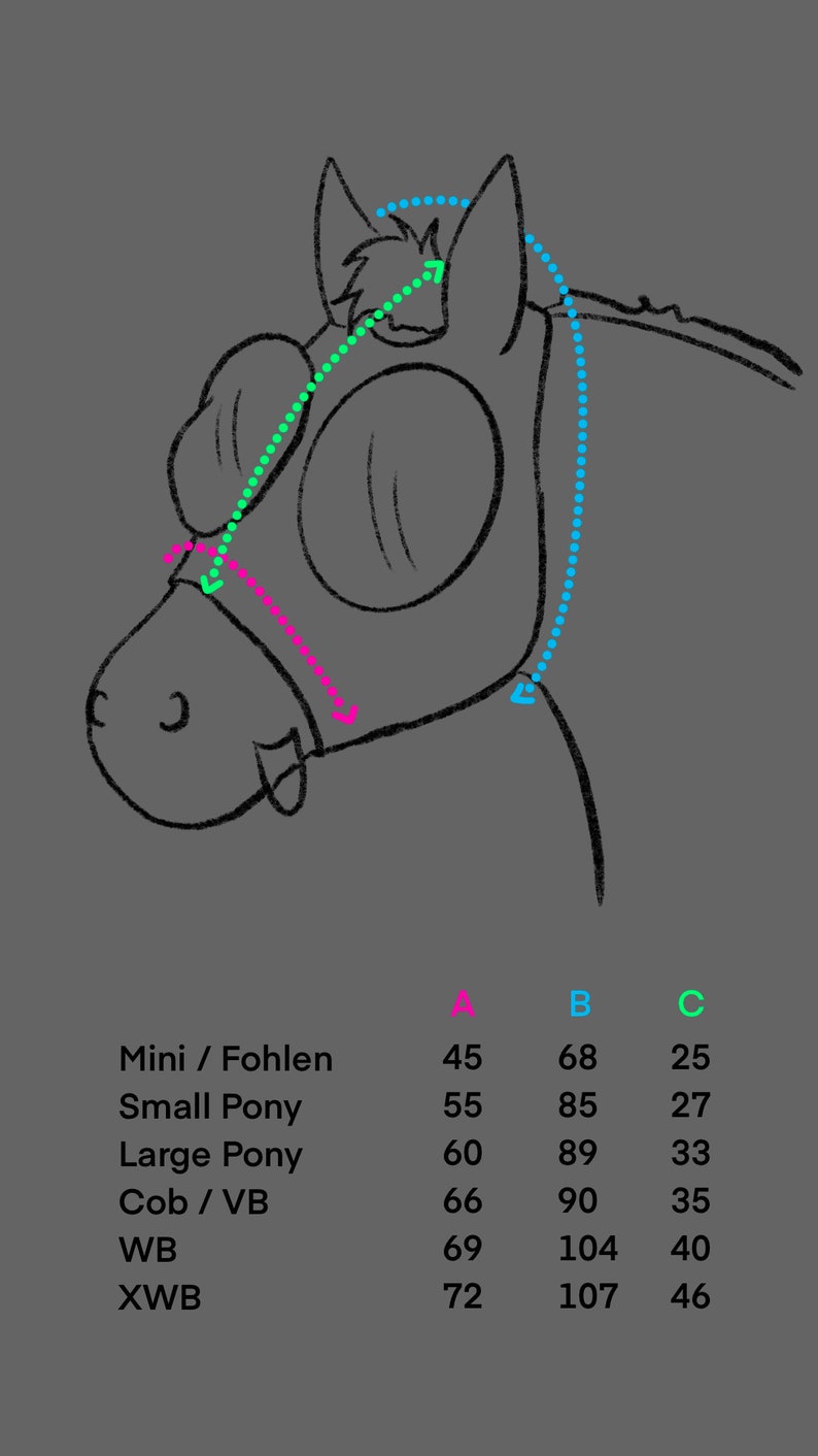 Pea Pony Fly Mask Size WB image 2