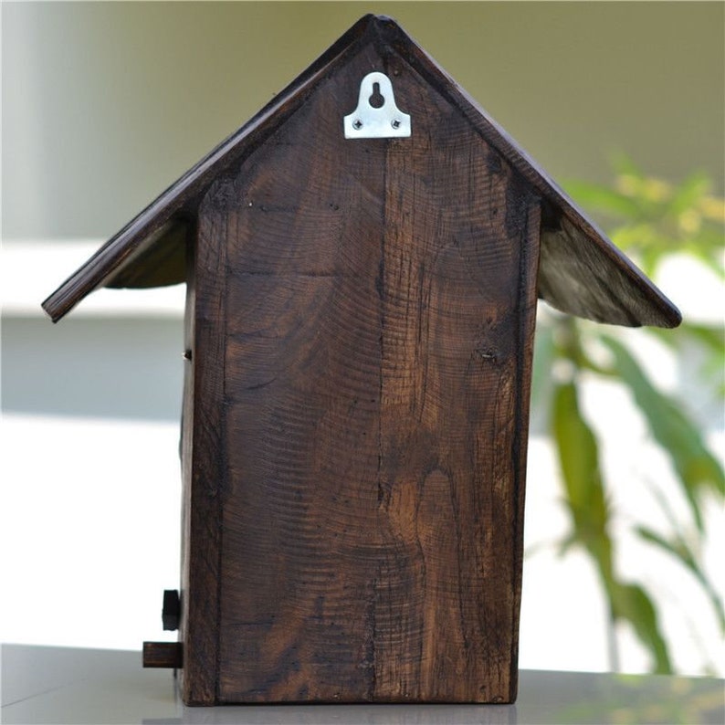 Wooden Letterbox Basket for Front Door / Pet Post Guard Cage / Etsy