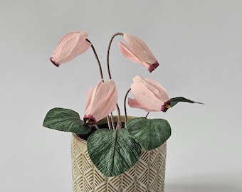 Crepe paper cyclamen