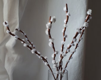 pussy willow branch