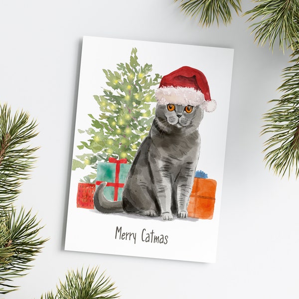 Postkarte „Merry Catmas British Shorthair“ Katzen Merry Catmas Weihnachten