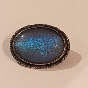 Blue Morpho Butterfly Wing Pin/Brooch