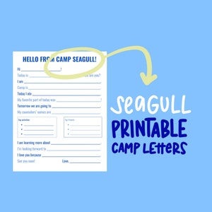 Camp SEAGULL Printable Letter, Summer Camp Letter, Stationery, Template, Fill in the blank letter, Snail Mail Letter, Questionnaire Summer