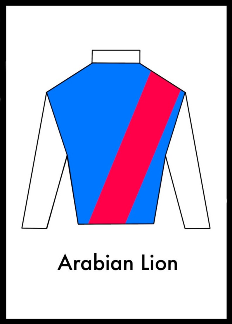 Belmont Stakes Horses Jockey Silks Jerseys Shirts With Horse Names 2024