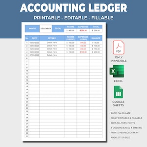 Accounting Ledger Printable, General Ledger Sheets, Money Tracker,PDF Printable,Bookkeeping Template,Fillable EXCEL / Google Sheets Template