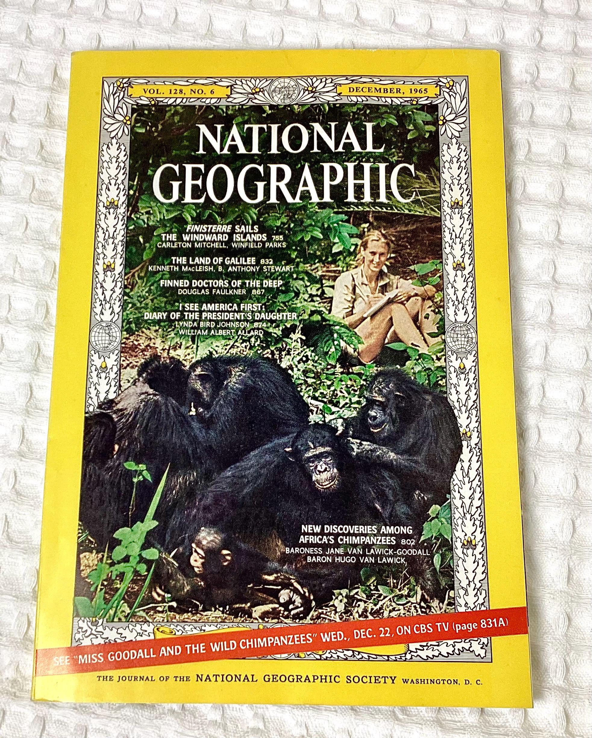 National Geographic Magazine December 1965 Jane Goodall