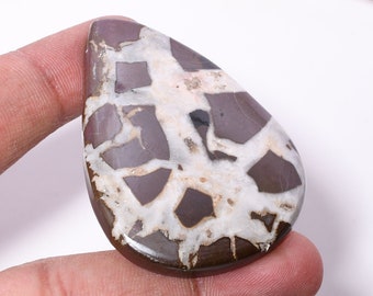 Natural Mud Crack Fossil AAA Quality Mud Crack Fossil  Loose Gemstone Mud Crack Fossil  Natural For GIft Jewelry Mud Crack Fossil  Gemstone