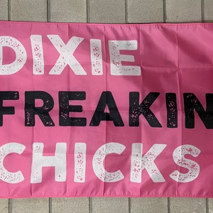 Dixie Frickin' Chicks Flag FREE SHIP Goodbye Earl Gaslighter Country Music Beer America Concert Band Sign Poster Usa 3x5' Single